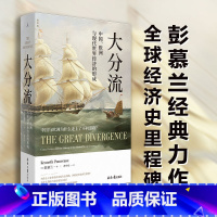 [正版]大分流 中国、欧洲与现代世界经济的形成 全新译本 彭慕兰着 贸易打造世界 探索现代世界经济和世界体系的起源