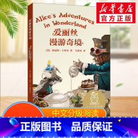 [正版]爱丽丝漫游奇境中文分级阅读五年级6-12岁小学生常读课外书籍二三四五六年级课外书常读经典书目儿童文学读物故事绘本