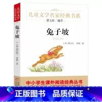 [正版]兔子坡儿童文学书籍6-12周岁课外阅读读物书店图书籍文学读物小学生阅读作品