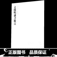 12-文征明杂书册页--历代名家小楷丛帖 [正版]历代名家小楷篆书丛帖 毛笔书法字帖 董其昌文征明赵孟府吴让之南华经赤壁