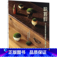 [正版]玩苔藓 日本NHK出版 编;谭尔玉 译 书籍 书店 河南科学技术出版社