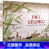 [正版]下雨了,它们去哪儿? (荷)热尔达·穆雷(Gerda Muller) 书籍 书店 二十一世纪出版社