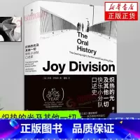 [正版]炽热的光及其他一切 快乐小分队口述史 朋克乐队 摇滚史 艺术音乐史传记书 一个活跃不超过四年的乐队 凤凰书店