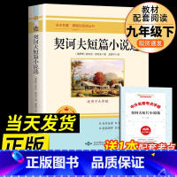 [配套人教版]契诃夫短篇小说选 [正版]九年级2册 简爱和儒林外史吴敬梓原着完整版必读初三课外书初中课外阅读书籍上册下册