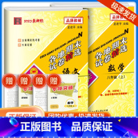 8上 语文+数学 人教版 九年级/初中三年级 [正版]2023孟建平七八九年级上册下册语文数学英语科学人教版浙教版各地期