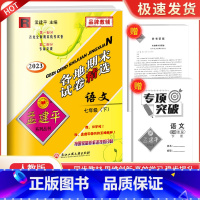 7下 语文 人教版 九年级/初中三年级 [正版]2023孟建平七八九年级上册下册语文数学英语科学人教版浙教版各地期末试卷