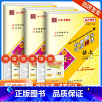 8上 语文+数学+英语人教版 九年级/初中三年级 [正版]2023孟建平七八九年级上册下册语文数学英语科学人教版浙教版各