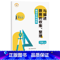 数据的收集、整理与描述 国一下 [正版]国一下册数学练习簿全套初一计算题专项训练专题基础真题人教7一年级下学期初中必刷题