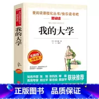 [六年级选读]我的大学 [正版]爱丽丝漫游奇境记书原着版六年级下册必读课外书教师小学生经典书目阅读书籍6下学期老师天地出