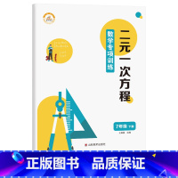 二元一次方程 国一下 [正版]国一下册数学练习簿全套初一计算题专项训练专题基础真题人教7一年级下学期初中必刷题辅导资料同