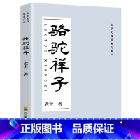 骆驼祥子 [正版]乌丢丢的奇遇记金波着 小学五年级下册课外书必读班主任老师经典书目 三四年级阅读书籍青少年经典文学名著