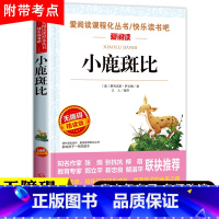 小鹿斑比 [正版]乌丢丢的奇遇记金波着 小学五年级下册课外书必读班主任老师经典书目 三四年级阅读书籍青少年经典文学名著