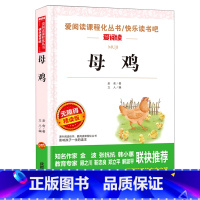 母鸡 [正版]猫老舍经典作品全集 小学生课外阅读书籍10-12-15岁四五六国一课外书必读老师儿童读物经典书目散文精选中