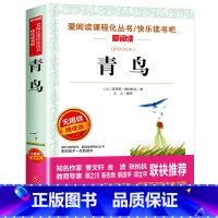 青鸟 [正版]猫老舍经典作品全集 小学生课外阅读书籍10-12-15岁四五六国一课外书必读老师儿童读物经典书目散文精选中