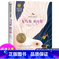 飞鸟集 新月集 [正版]尼尔斯骑鹅旅行记历险记原着 快乐读书吧六年级下册必读课外书 小学生课外阅读书籍适合6年级上下册看