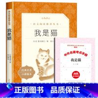 [赠考点]我是猫 [正版]格列佛游记原著九年级下册必读课外书老师外国长篇小说世界经典故事初中生初三语文阅读课外拓展适合青