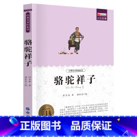 骆驼祥子 [正版]中国民间故事五年级上册必读的课外书快乐读书吧5年级上学期老师书目欧洲非洲田螺姑娘精选全套小学生人民教育