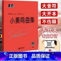[正版] 小奏鸣曲集 韦丹文大符头版 上海教育出版红皮书钢琴曲集新手小白零基础入门学字版大音符 讲解教学版书籍