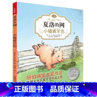 [夏洛的网]小猪威尔伯 [正版]夏洛的网精灵鼠小弟吹小号的天鹅全套8册注音带拼音小学生儿童故事带拼音英文版EB怀特经典三