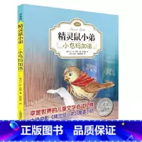 [精灵鼠小弟]小鸟玛加洛 [正版]夏洛的网精灵鼠小弟吹小号的天鹅全套8册注音带拼音小学生儿童故事带拼音英文版EB怀特经典
