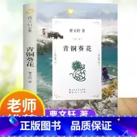 青铜葵花 [正版]青铜葵花完整版原版曹文轩系列儿童文学8-12岁小学生课外阅读书籍草房子芦花鞋人教版三四五六年级课外书人