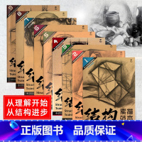 [正版]结构素描范本 套装9册 黄金典藏版 单个组合静物石膏头像几何体人物五官明暗透视造型基础训练方法丛书籍 艺考初学者