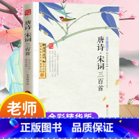 唐诗·宋词三百首 [正版]美丽国学 唐诗三百首宋词三百首 唐诗300首 初中高中学生古诗词 中国古诗词大全集唐诗宋词鉴赏