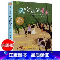 风吹过的夏天 [正版]书风吹过的夏天 总有一天会长大 深圳市罗湖区四年级三四五六年级儿童文学小学生课外阅读书籍读河北少年