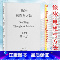 [正版]徐冰 思想与方法 中央美术学院教授徐冰著 我的艺术方法 艺术故事理论书籍 学生艺术学习方法技巧美术概论原理书