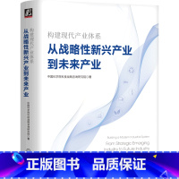 [正版]构建现代产业体系(从战略性新兴产业到未来产业)(精)