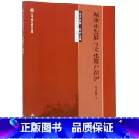 [正版]城市化发展与文化遗产保护/守正创新思辨文博单霁翔文化遗产保