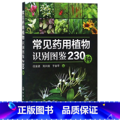 [正版]常见药用植物识别图鉴230种