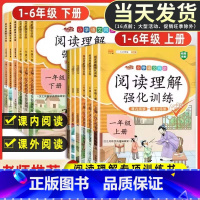 (2本套)阅读理解上册+下册 二年级上 [正版]2024版阅读理解强化训练专项训练书一二三四五六年级上册下册人教版语文同