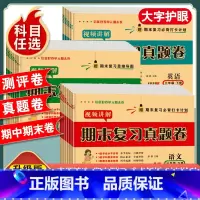 [6本套/人教版]语数英试卷+语数英计算默写小达人 三年级下 [正版]一年级二年级三年级四五六年级上册下册试卷测试卷全套