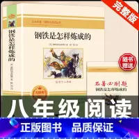 [配套人教版]钢铁是怎样炼成的.送考试重点 [正版]经典常谈朱自清和钢铁是怎样炼成的必读原着八年级下册课外书初中阅读名著