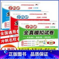 [小升初]语+数+英》模拟真题卷 小学升初中 [正版]活页快捷英语时文阅读NO.26期小升初NO25期第24辑六年级英语