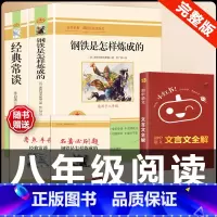 [配套人教版3册]钢铁+经典常谈+文言文全解 [正版]经典常谈朱自清和钢铁是怎样炼成的必读原着八年级下册课外书初中阅读名