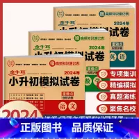 3册》语文+数学+英语》小升初模拟试卷(含真题分班卷) 小学升初中 [正版]2024年小升初模拟试卷真题卷必刷题人教版语