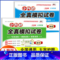 2册[语文+英语]小升初模拟试卷(含真题) 小学升初中 [正版]2024年小升初模拟试卷真题卷必刷题人教版语文数学英语小