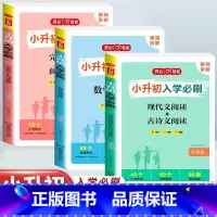 3册[语数英]小升初入学必刷 小学升初中 [正版]2024年小升初模拟试卷真题卷必刷题人教版语文数学英语小学毕业总复习资