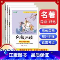 全套3册]中考名著速读导读必读12部+24部+中考名著真题全刷 [正版]九年级下册必读名著我是猫契诃夫短篇小说选格列佛游