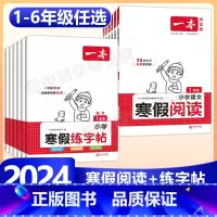语文》寒假阅读+衔接-人教版 小学一年级 [正版]2024版一本小学语文寒假阅读+练字帖寒假作业衔接一年级二年级三四五六