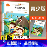 大林和小林 [正版]宝葫芦的秘密 三年级四年级必读课外书老师小学生阅读书籍张天翼原著宝葫芦娃里的故事3-4年级上下册人教