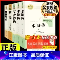 [人教版 5册]九上艾青诗选/水浒传+九下简爱/儒林外史 [正版]九年级下册必读名著我是猫契诃夫短篇小说选格列佛游记围城
