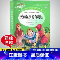 爱丽丝漫游奇境记 小学通用 [正版]快乐读书吧六年级下册必读的课外书阅读经典书目完整版全套鲁滨逊漂流记汤姆索亚历险记尼尔