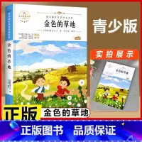 金色的草地 [正版]宝葫芦的秘密 三年级四年级必读课外书老师小学生阅读书籍张天翼原著宝葫芦娃里的故事3-4年级上下册人教