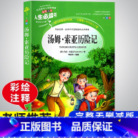 汤姆索亚历险记 小学通用 [正版]快乐读书吧六年级下册必读的课外书阅读经典书目完整版全套鲁滨逊漂流记汤姆索亚历险记尼尔斯