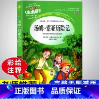 汤姆索亚历险记 小学通用 [正版]快乐读书吧六年级下册必读的课外书阅读经典书目完整版全套鲁滨逊漂流记汤姆索亚历险记尼尔斯