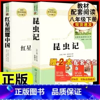 [人教版 必读2册]八上必读 昆虫记+红星照耀中国 [正版]八年级下册必读名著经典常谈钢铁是怎样炼成的原著人民教育出版社