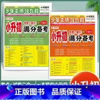 [2本套]语文+数学 小学升初中 [正版]小升初满分备考 少年素质教育报六年级语文数学英语专项系统总复习真题卷小学升初中